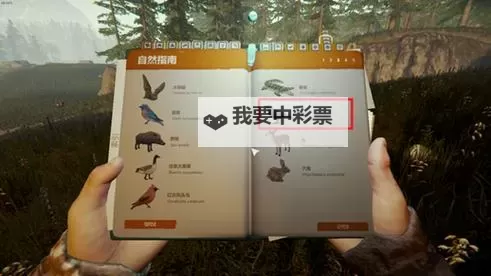 《森林之子》护甲及衣物防御力排行图2