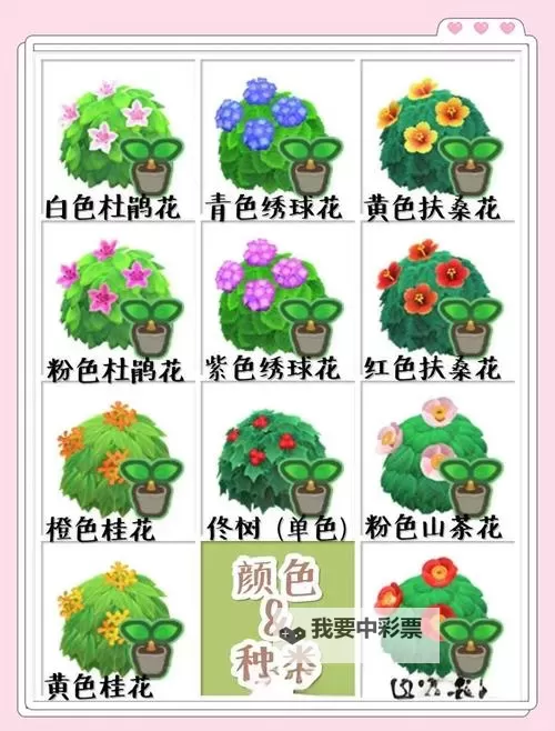 《动物森友会》园艺店介绍与灌木种植技巧图1