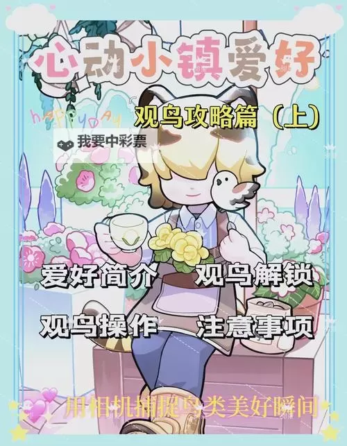 《心动小镇》全鸟类出现时间与地点一览 观鸟拍照技巧分享图2